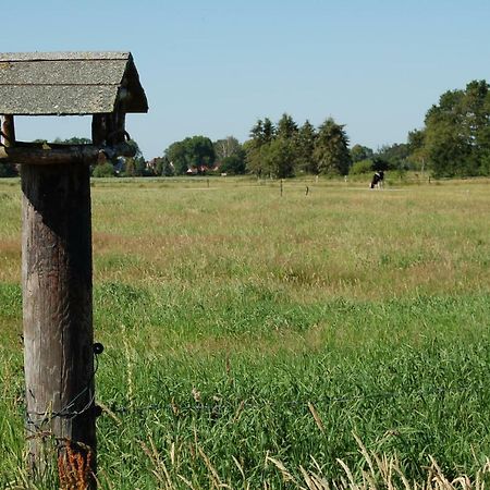 Ferienwohnung Wiekenblick Wiesmoor Buitenkant foto